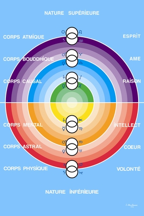 The system of the six bodies